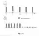 Fig. 07 - WIRELESS COMMUNICATION SYSTEM, BASE STATION APPARATUS, AND WIRELESS COMMUNICATION METHOD