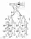 Fig. 03 - Synchronization distribution in microwave backhaul networks