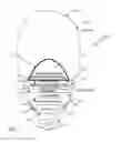 Fig. 07 - Lamp using solid state source