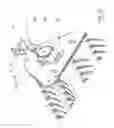 Fig. 24 - Agricultural implement for reaping and windrowing