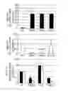 Fig. 02 - DROUGHT TOLERANT PLANTS