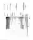 Fig. 04 - Selection of symbiota by screening multiple host-symbiont associations