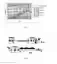 Fig. 124 - Selection of symbiota by screening multiple host-symbiont associations