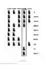 Fig. 19 - Selection of symbiota by screening multiple host-symbiont associations