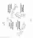 Fig. 72 - Selection of symbiota by screening multiple host-symbiont associations