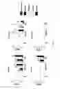 Fig. 77 - Selection of symbiota by screening multiple host-symbiont associations