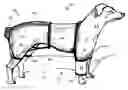 Fig. 01 - ANIMAL WOUND PROTECTOR
