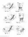 Fig. 07 - PROTECTIVE HOOD FOR DOGS AND OTHER ANIMALS