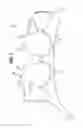 Fig. 02 - Brassiere cup and method of manufacture