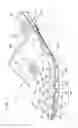 Fig. 02 - Shoe