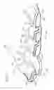 Fig. 08 - Shoe