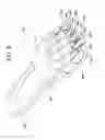Fig. 09 - Shoe