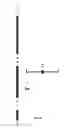 Fig. 22 - VERTICAL STORAGE RACK