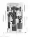 Fig. 07 - Multi-photon microscope having an excitation-beam array