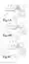 Fig. 06 - Vascular Access Detection Device and Method