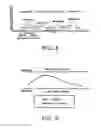 Fig. 07 - Method and apparatus for automated measurement of chiral analyte concentration