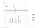 Fig. 06 - Systems and methods for providing user insights based on real-time physiological parameters