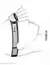 Fig. 06 - Module Mounting Mirror Endoscopy