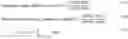 Fig. 07 - Analysis and characterization of patient signals