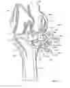 Fig. 10 - Patient-specific partial knee guides and other instruments