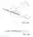 Fig. 09 - Adjustable curette