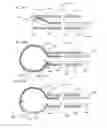 Fig. 43 - Methods And Systems For Performing Submucosal Medical Procedures