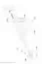 Fig. 09 - Method of distracting an intervertebral space