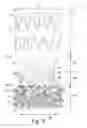 Fig. 09 - Device for endovascular aortic repair and method of using the same