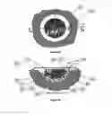 Fig. 07 - WOUND CLEANSING APPARATUS WITH SCAFFOLD