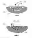 Fig. 22 - WOUND CLEANSING APPARATUS WITH SCAFFOLD