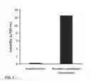 Fig. 09 - Methods for the safe administration of imidazole or imidazolium compounds