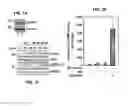 Fig. 02 - METHODS OF REGULATING CANNABINOID RECEPTOR ACTIVITY-RELATED DISORDERS AND DISEASES