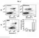 Fig. 06 - METHODS OF REGULATING CANNABINOID RECEPTOR ACTIVITY-RELATED DISORDERS AND DISEASES
