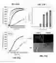 Fig. 23 - METHODS OF REGULATING CANNABINOID RECEPTOR ACTIVITY-RELATED DISORDERS AND DISEASES