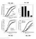 Fig. 24 - METHODS OF REGULATING CANNABINOID RECEPTOR ACTIVITY-RELATED DISORDERS AND DISEASES