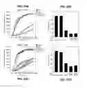 Fig. 25 - METHODS OF REGULATING CANNABINOID RECEPTOR ACTIVITY-RELATED DISORDERS AND DISEASES