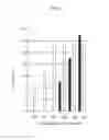 Fig. 02 - Pharmaceutical Composition Comprising Amino-Phenyl-Acetic Acid Octadec-(Z)-9-enyl Ester and Use Thereof for Treating Tumors