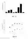 Fig. 09 - Methods for increasing the stabilization of hypoxia inducible factor-α