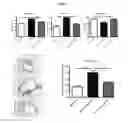 Fig. 02 - METHODS OF TREATING AND PREVENTING ALLOANTIBODY DRIVEN CHRONIC GRAFT VERSUS HOST DISEASE