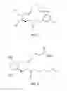 Fig. 02 - COSMETIC METHOD FOR CHANGING THE APPEARANCE OF EYES