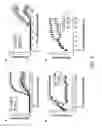 Fig. 02 - Amyloid beta peptides as therapy for multiple sclerosis