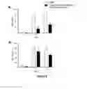 Fig. 09 - Three-dimensional cavities of dendritic cell immunoreceptor (DCIR), compounds binding thereto and therapeutic applications related to inhibition of human immunodeficiency virus type-1 (HIV-1)