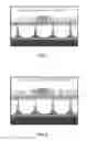Fig. 05 - IMPLEMENTATION OF NON-PATHOGENIC BIOLUMINESCENT BACTERIA AS A SUB-MICRON LIGHT EMITTING SOURCE FOR PHOTO-DYNAMIC THERAPY IN THE LUNGS