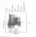 Fig. 06 - TRANSGENIC PLANTS EXPRESSING COBALAMIN BINDING PROTEINS
