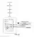 Fig. 08 - TRANSGENIC PLANTS EXPRESSING COBALAMIN BINDING PROTEINS