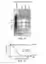Fig. 09 - TRANSGENIC PLANTS EXPRESSING COBALAMIN BINDING PROTEINS