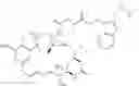 Fig. 113 - Hydrazinyl-pyrrolo compounds and methods for producing a conjugate