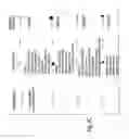 Fig. 05 - Polymers for functional particles