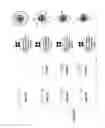 Fig. 10 - Polymers for functional particles