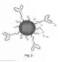 Fig. 13 - Polymers for functional particles